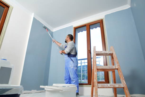 Professional Dry wall and painting in Wadsworth, IL