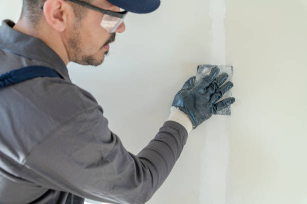 Best Wallpaper Removal and Painting  in Wadsworth, IL