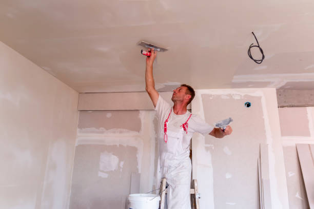 Best Eco-Friendly and Low-VOC Painting  in Wadsworth, IL